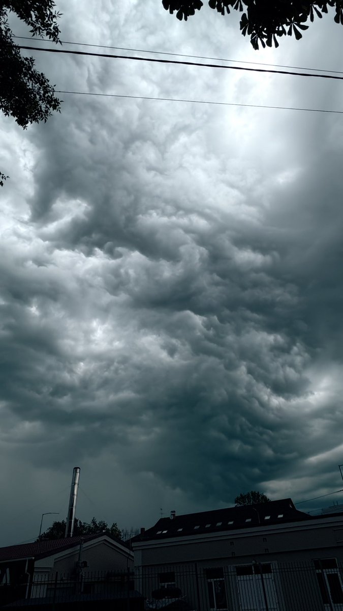 🎶Лий, зливо, лий. Відмивай нас всіх від бруду, літній дощ