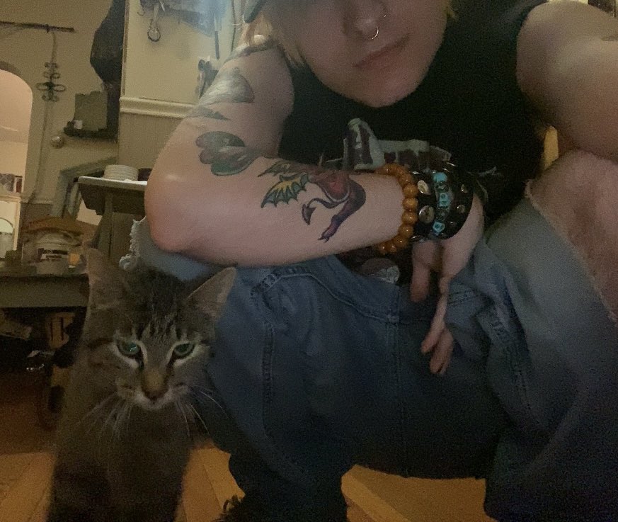 sixasscat's tweet photo. #daletuesday https://t.co/rCNVHbOtQj
