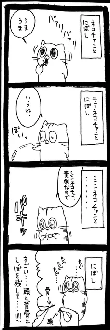 【猫】綺麗に残します 