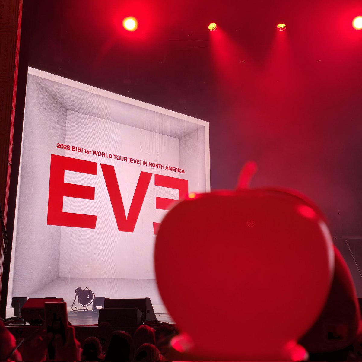 braveologyde's tweet photo. yves is currently attending bibi's 1st world tour eve in chicago #day2day https://t.co/e3UYa73FN1