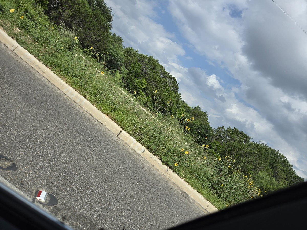 everything reminds me of Johnny