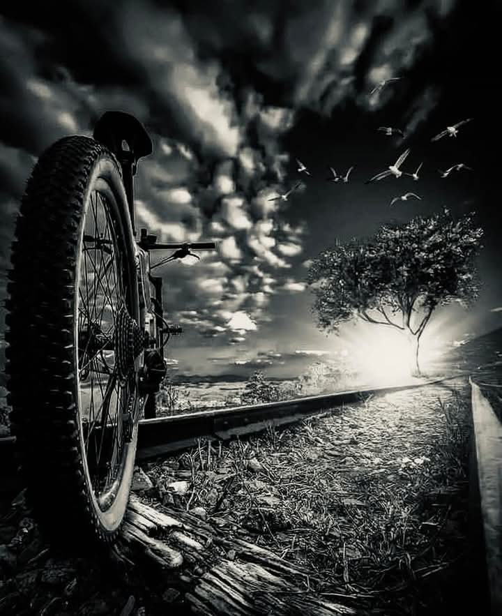 الغائبون في الأوقات
 الصعبه
 يجب ان يضلو 
غائبين الى الأبد