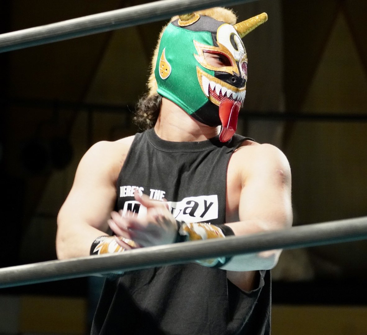 #tenryu_pj
#ヴァンヴェールジャック