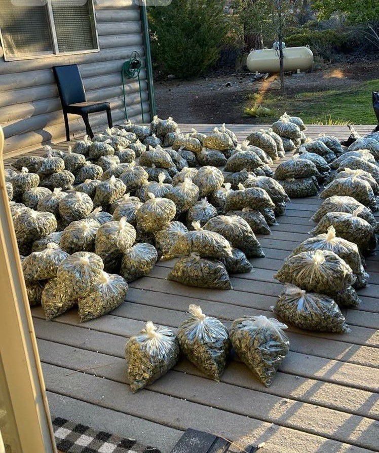 WeedPorns's tweet photo. You walk outside and see this, what’s the first thing you are doing? https://t.co/SNl5o0LAiQ