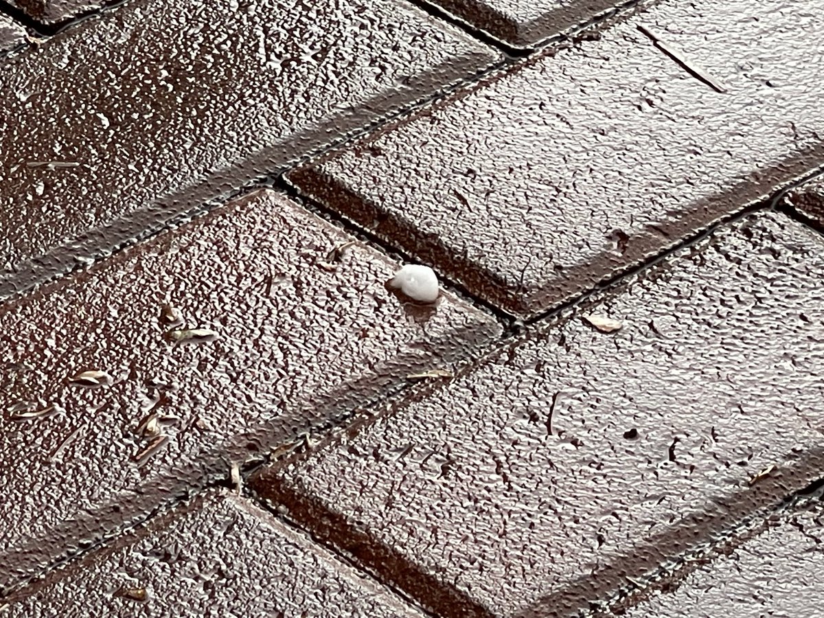 Patrick Walker tweet media