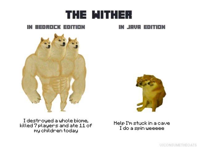 Me trying to play Minecraft on Bedrock vs. Java.