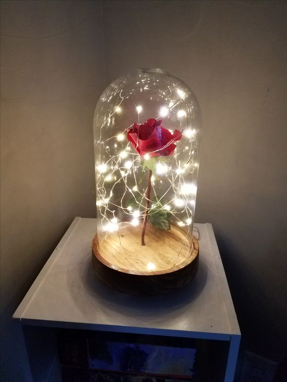 Mi sueño desde niña siempre fue tener una rosa encantada 🌹