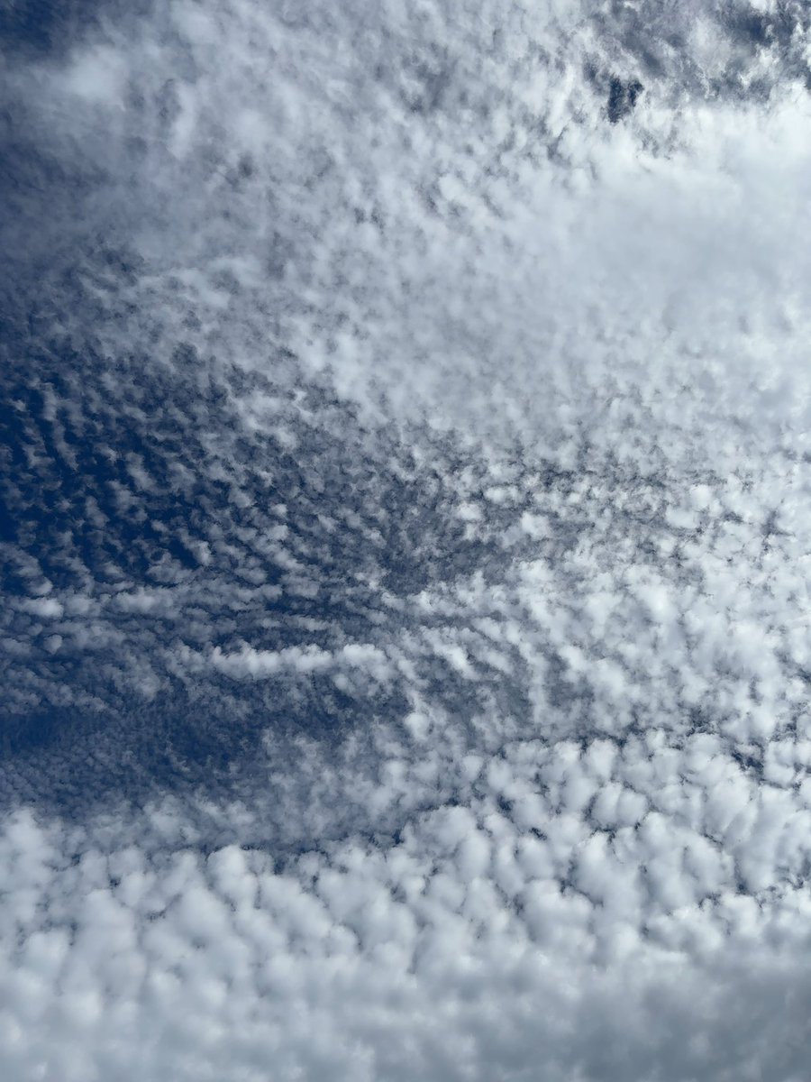 wwadaw's tweet photo. 今朝の空
これなんて呼ぶ雲だろ？
細かくてきれい
#雲
#空 https://t.co/VkIC4yGqwF