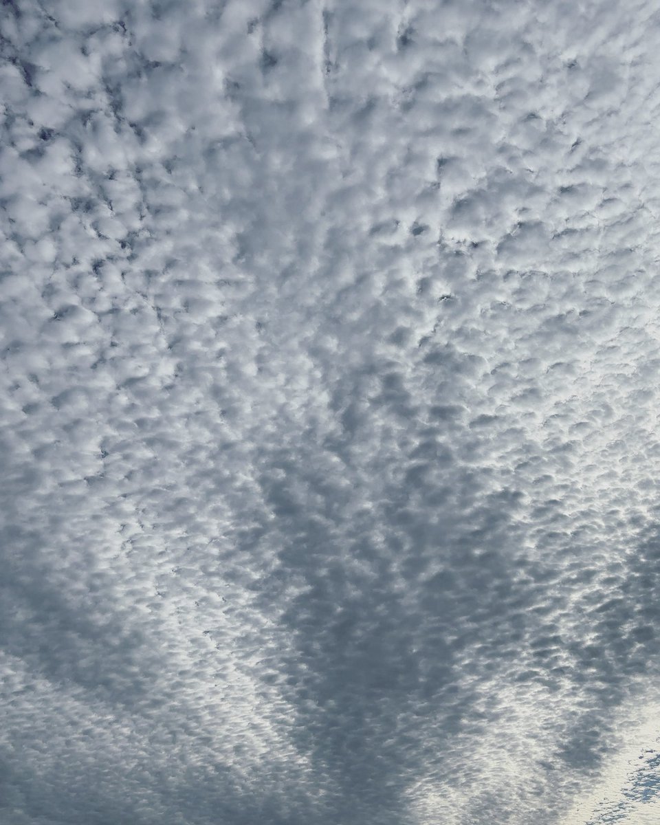 wwadaw's tweet photo. 今朝の空
これなんて呼ぶ雲だろ？
細かくてきれい
#雲
#空 https://t.co/VkIC4yGqwF