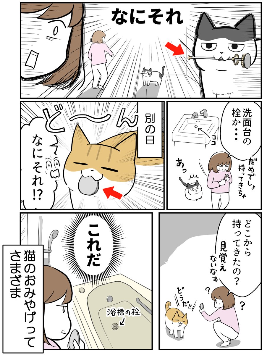 (2/2) 