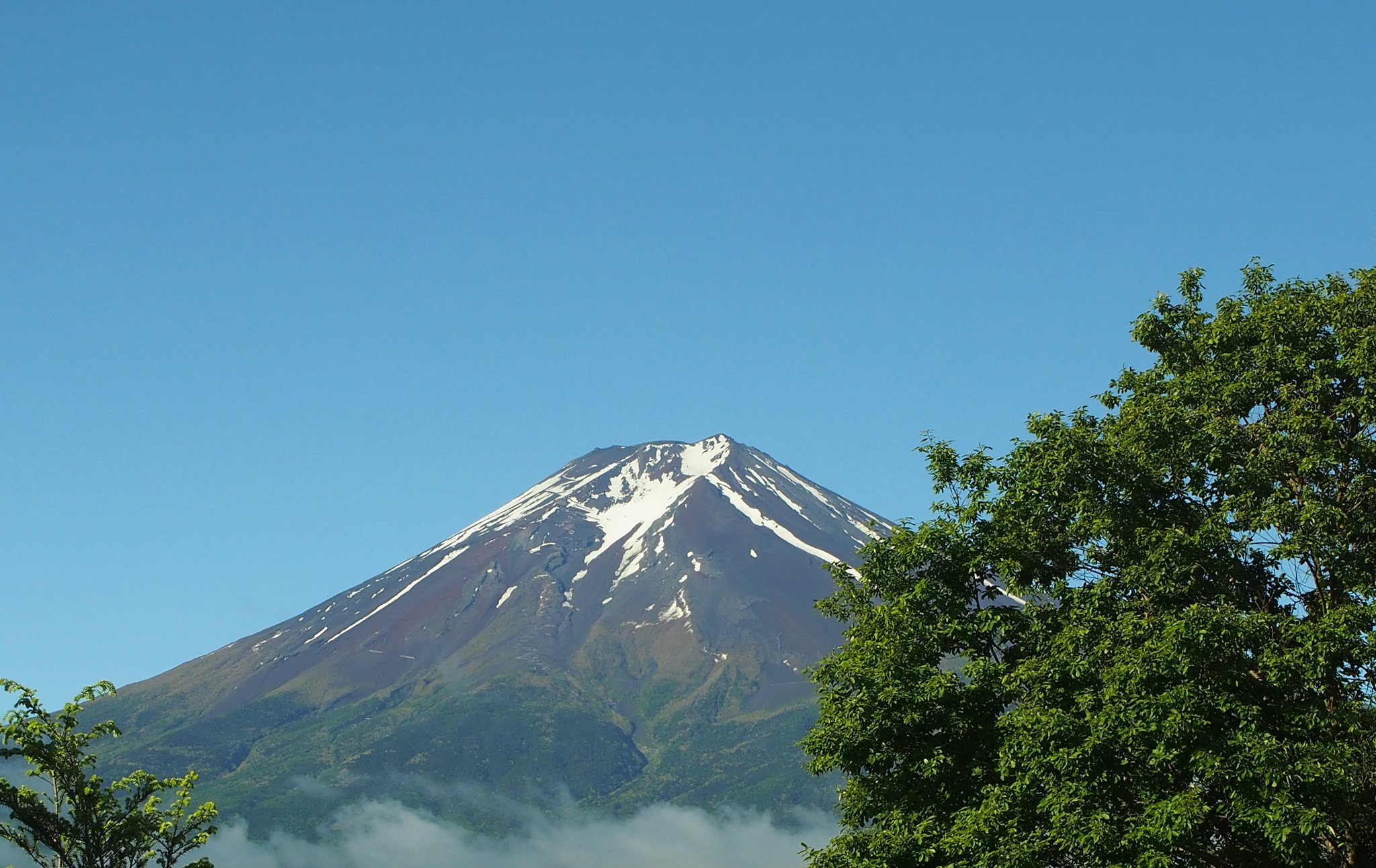 シーグラスアート 天然バイカラー 富士山 赤富士 お正月 ヘビ年