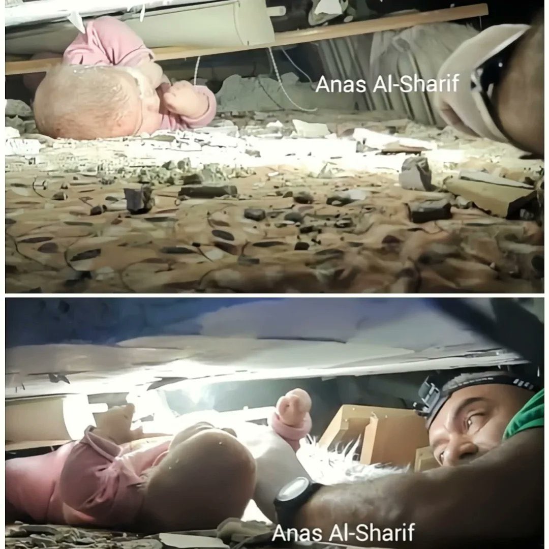 Sözlükte vahşeti anlatabileceğimiz kelime kalmadı artık. 
Susma
Sessiz kalma
Gazze’yi unutma
Vahşeti ifşa etmekten geri durma!

#VahşetiİfşaEt
#ExposeTheAtrocity