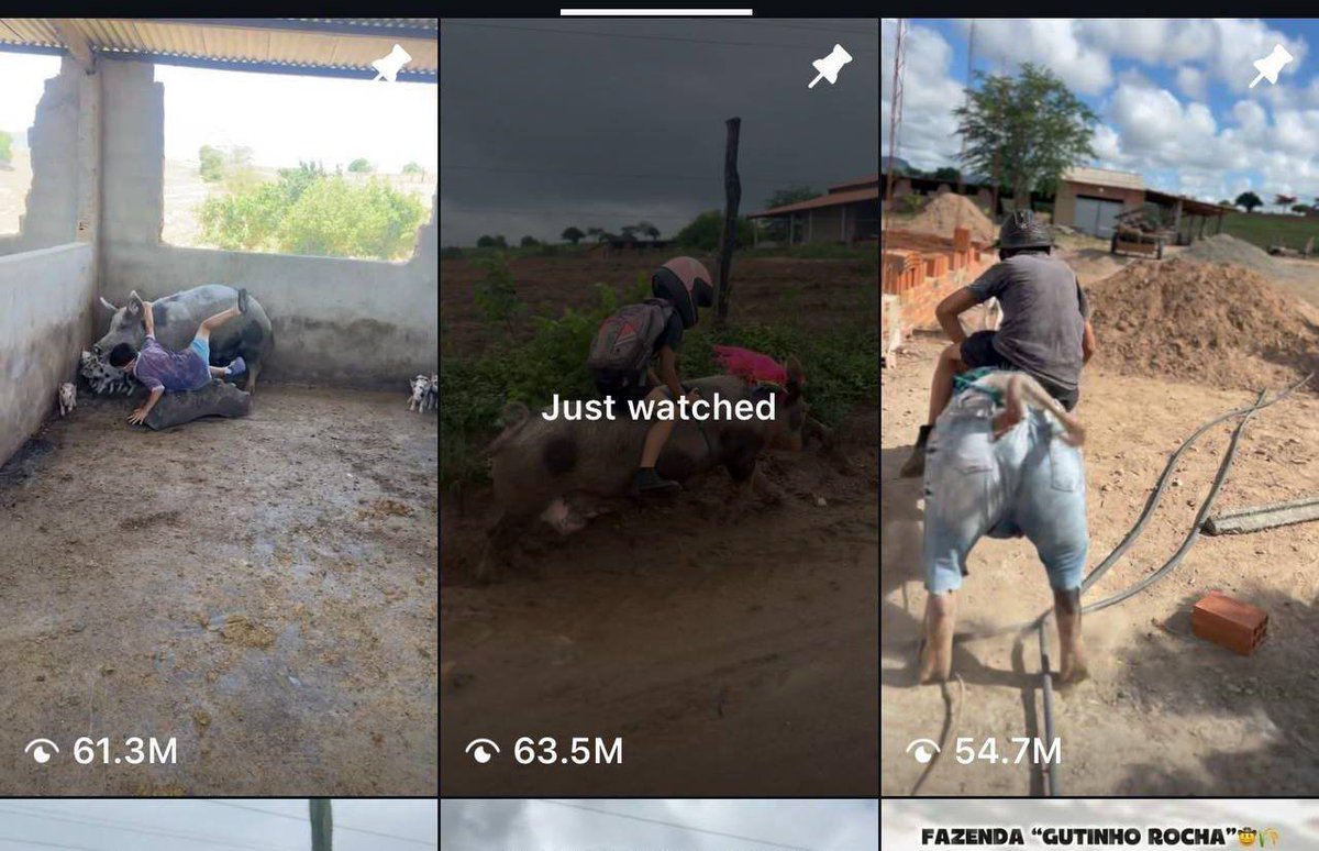 $Guti is pulling numbers riding every animal from his farm like a hog rider + is going very asf even went to the news

instagram.com/gutinho_rochao…

let's see where it goes