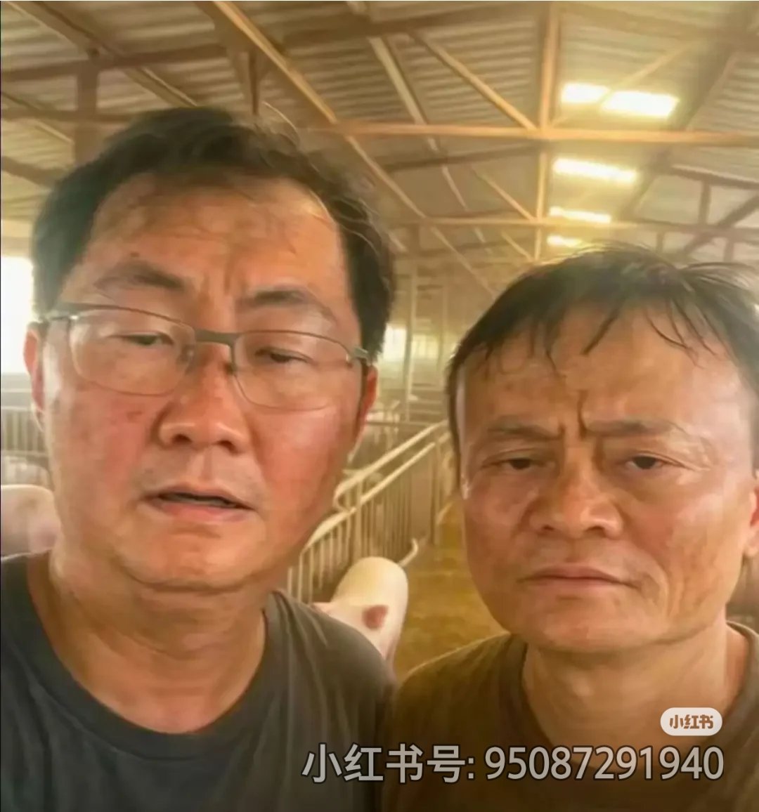 来了二个大哥找工作 我应该给多少钱合适 不包社保哦😯😄