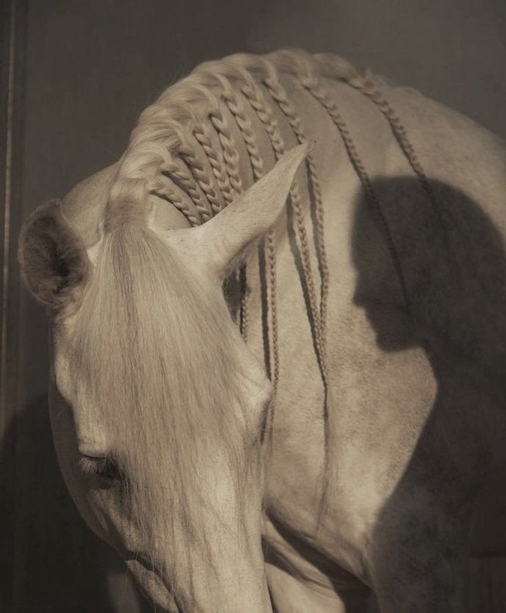 بحر 🌊 (@butterflless) on Twitter photo 