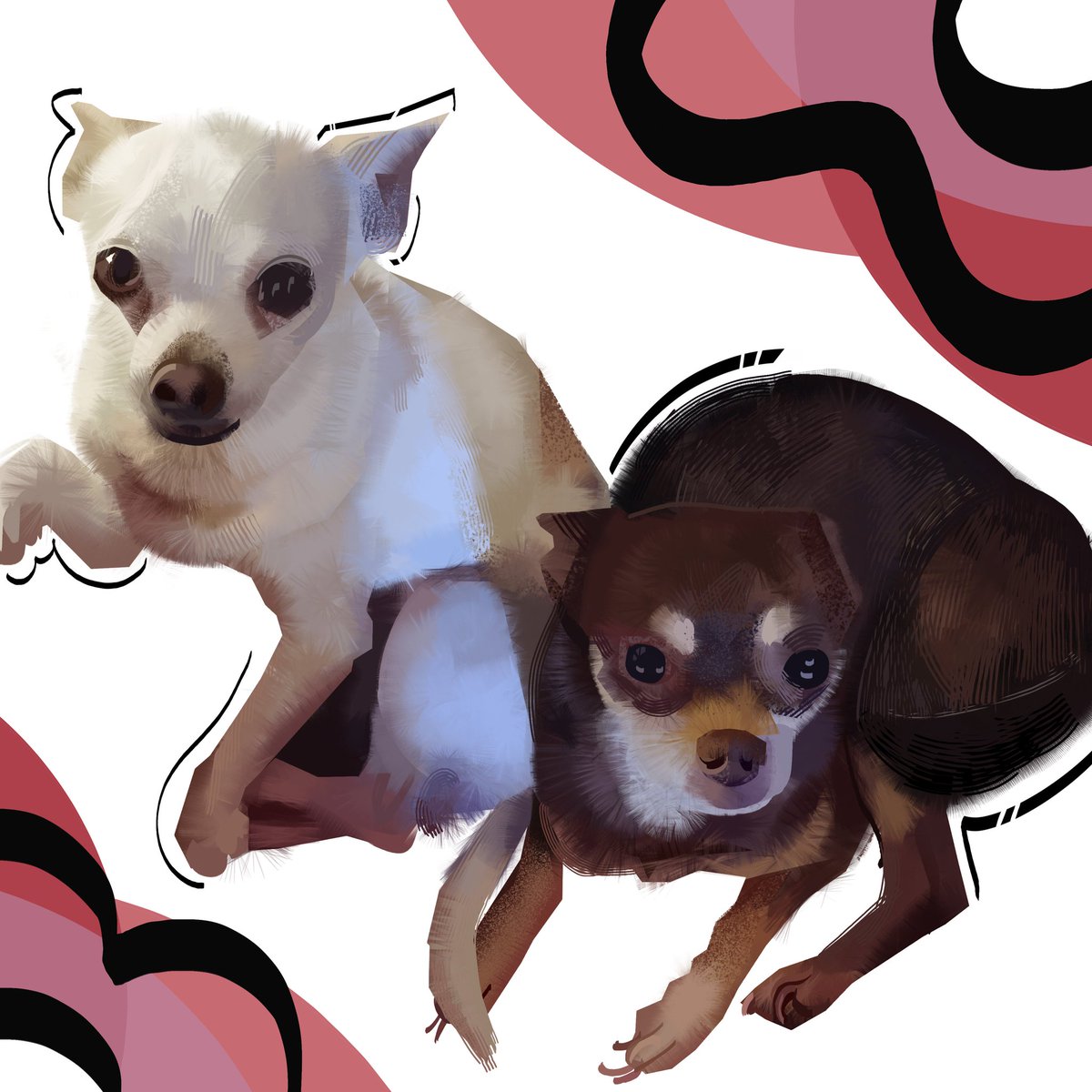 NateDHernandez's tweet image. first