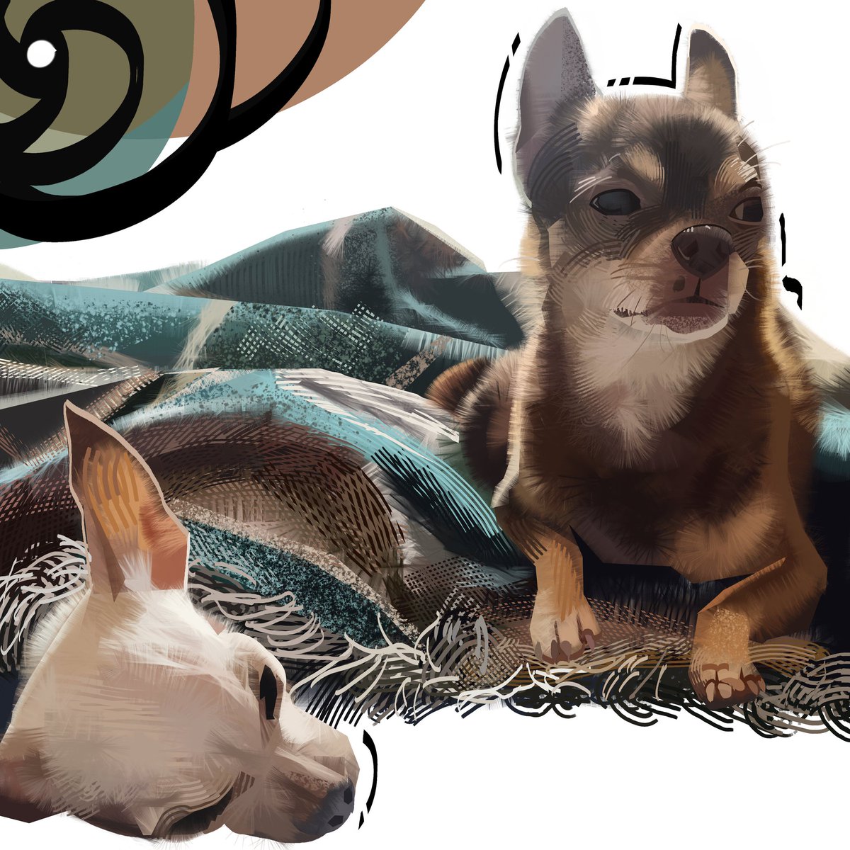 NateDHernandez's tweet image. last