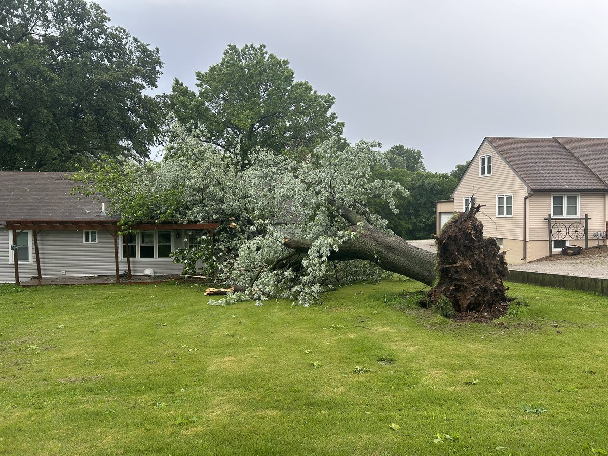 This is one of several fallen trees on houses we’re seeing in Independence from this afternoon’s storms. Pretty much every lawn on Highland Drive has some tree branches down. <a href="/KSHB41/">KSHB 41 News</a>