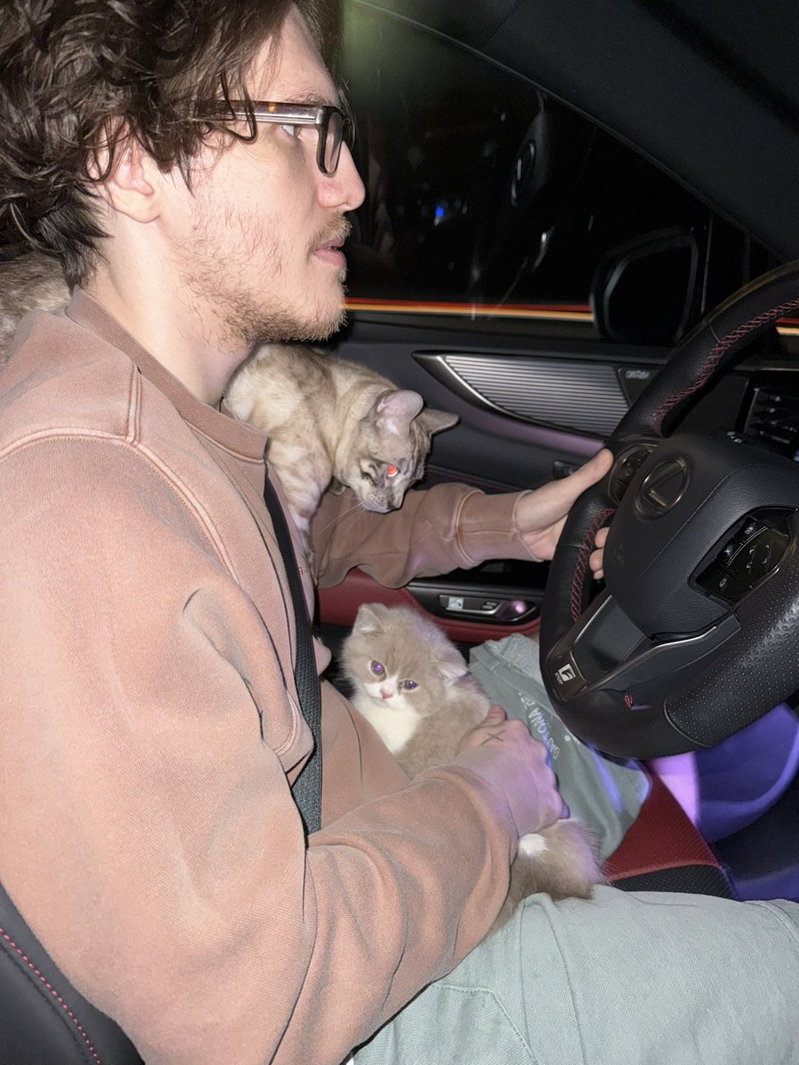 jelloannaa tweet media