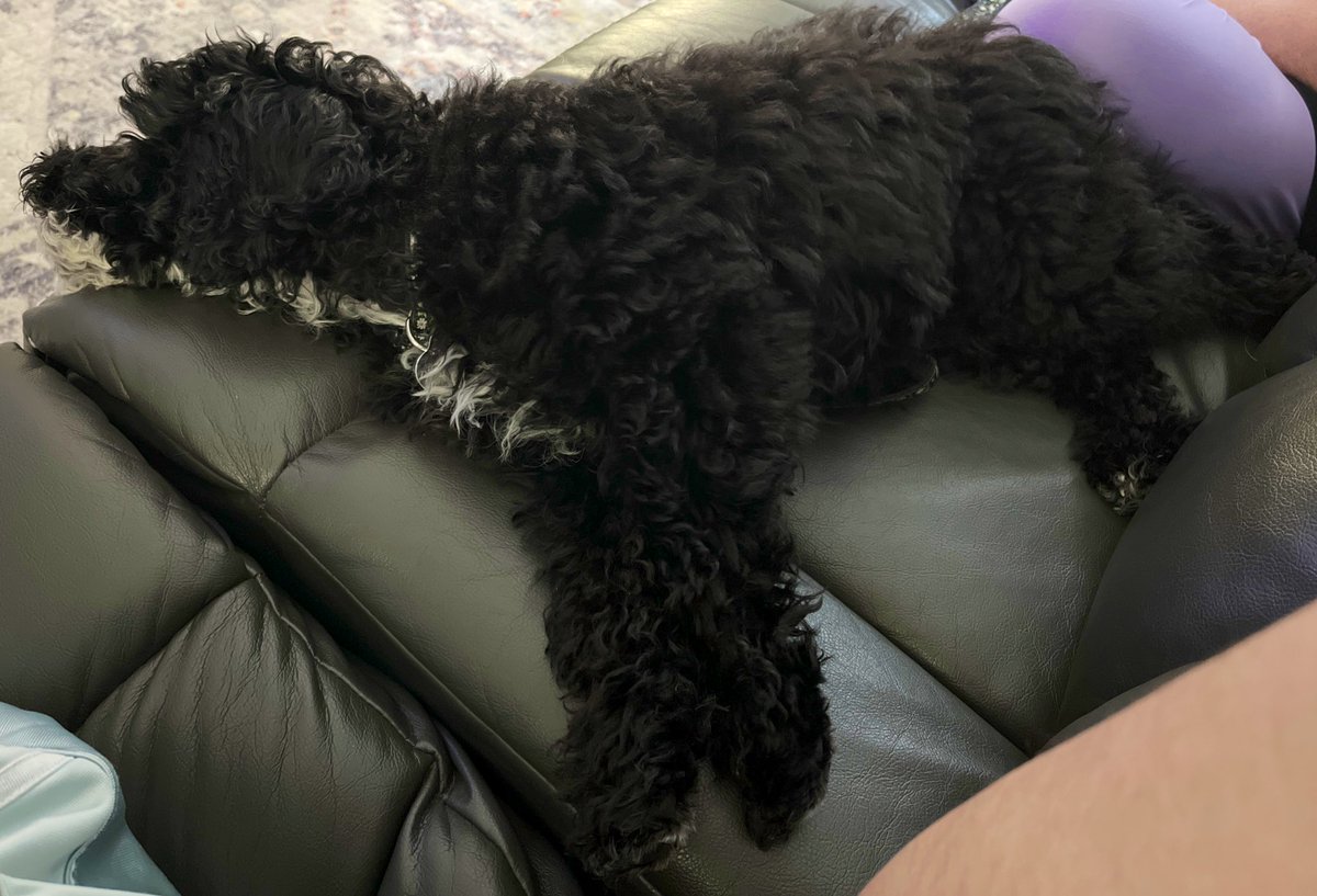 Today’s first stream back will be about how to practice songwriting! Super chill, but also hopefully educational. Starting at 5pm pacific!