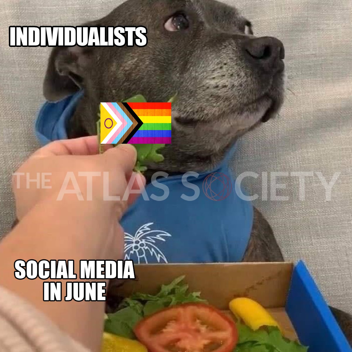 Pride in achievement, not identity.