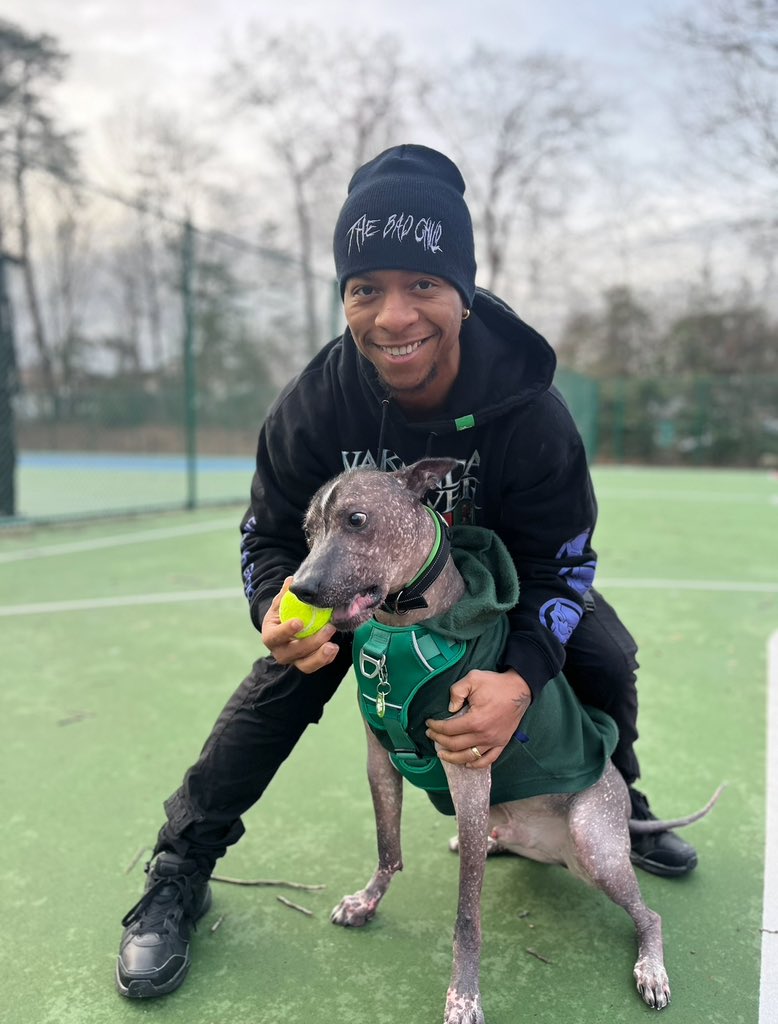 IamLioRush's tweet photo. This has been extremely hard for me to process. If you know me, you know how much he meant to me. If you don’t know, this dog was more than a dog. In fact he was more human than most humans I know. He was my kid, my brother, he was my friend, my protector. He’s been here with me through it all. Everytime I think I’m strong enough, I break down in tears thinking about all the memories and all the moments we had. From hotels, to road trips, to moving across the country multiple times. We’ve done it all and see it all together. I loved Brixton so much and everyone who came across him had so much love for him. Rest in peace brix 🐕🐾💔You’ll never be forgotten.