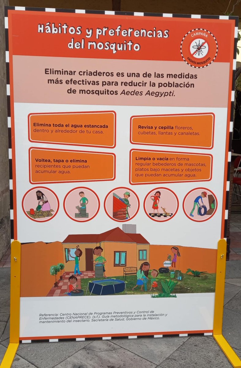 🦟¡Informa y previene!

En nuestro #Museo Nacional podrás ver de cerca al #mosquito Aedes aegypti, conocer su ciclo de vida y aprender cómo evitar que se reproduzca en casa.

“Adiós Mosquito”, una experiencia para toda la familia.
📍 Regina 9, Centro Histórico, #CDMX.