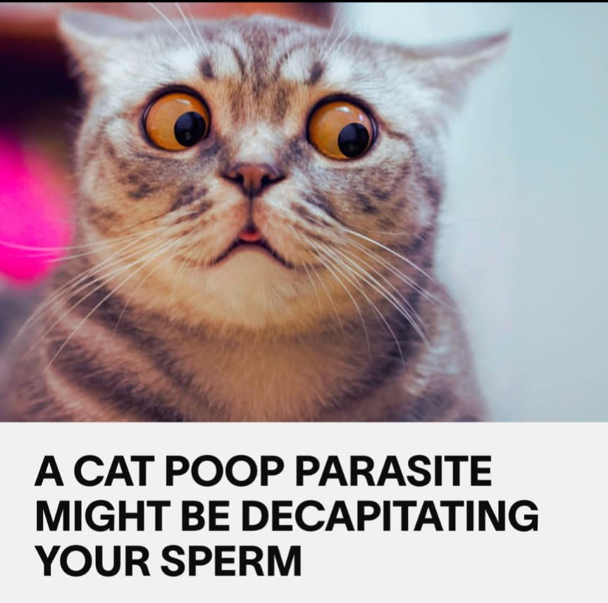 Guys, stop eating cat poop!...