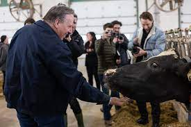 MoreauAgathe3's tweet image. J'ai pas mal plus confiance à cette vache
Qu'à ce porc
Même la vache ne le trust pas...
Mononcle fait peur aux enfants et aux animaux
Avec son déguisement de Legault
Wallmart va fermé sa section Halloween
Oups...
Le Marché du Mur 🤪