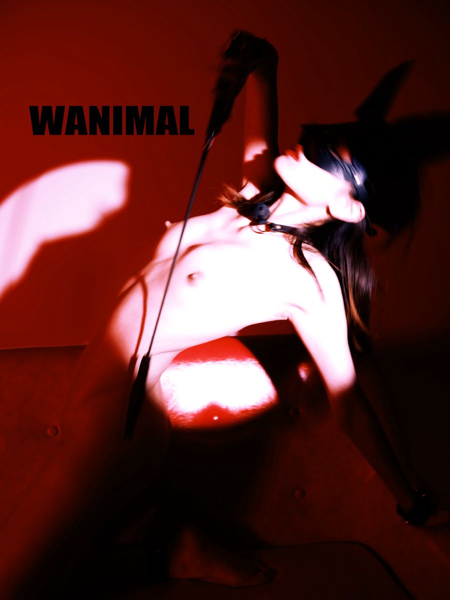WANIMAL | Official tweet media