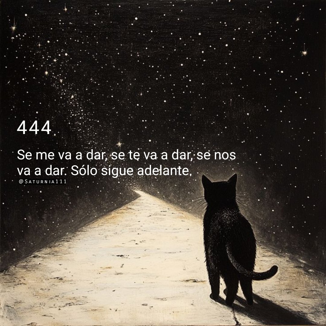 444🌟🌗