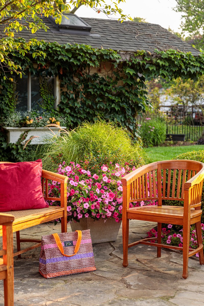 Garden Design Mag (@gardendesignmag) on Twitter photo Just look at this combo—turning a simple patio into a #garden getaway. Lush, low-maintenance, and made to perform all season. Top 20 All-Time Award Winners from <a href="/Proven_Winners/">Proven Winners</a> provenwinners.com/ideaboard/2589… #plants Just look at this combo—turning a simple patio into a #garden getaway. Lush, low-maintenance, and made to perform all season. Top 20 All-Time Award Winners from <a href="/Proven_Winners/">Proven Winners</a> provenwinners.com/ideaboard/2589… #plants