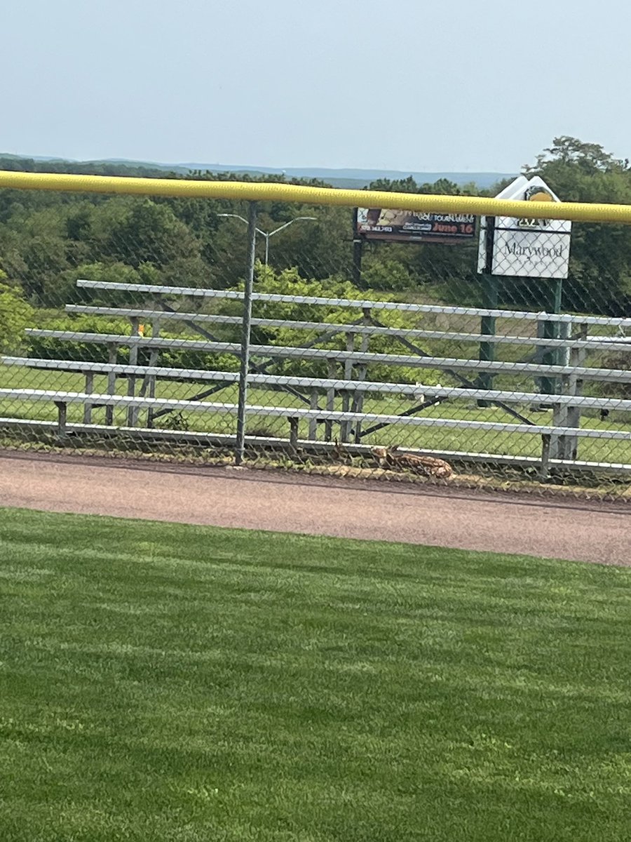 Rob Galdieri tweet media