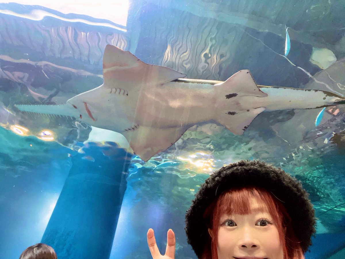 おはエイエイそー！！！✨