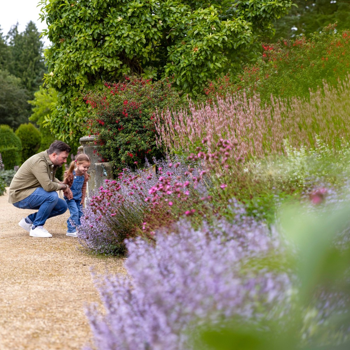 📷️Belsay Hall, Castle &amp; Gardens ©English Heritage

Two exclusive English Heritage evening tours take place next week; you can explore a rare surviving picturesque garden at Belsay Hall and enjoy sweeping C18 parkland at Audley End. 

Details &amp; booking
ngs.org.uk/english-herita…