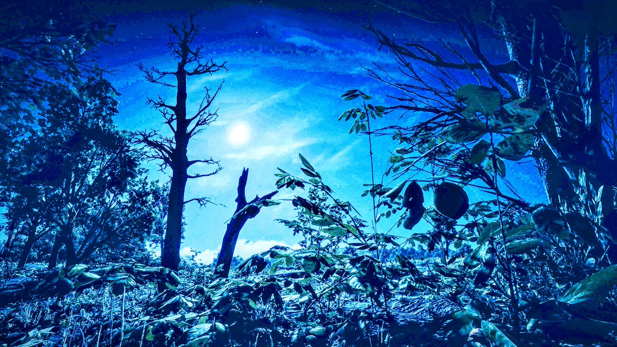 #Rockstar
#RockstarGames
#RedDeadRedemption2
#RedDeadRedemptiononline
#SaveRedDeadOnline