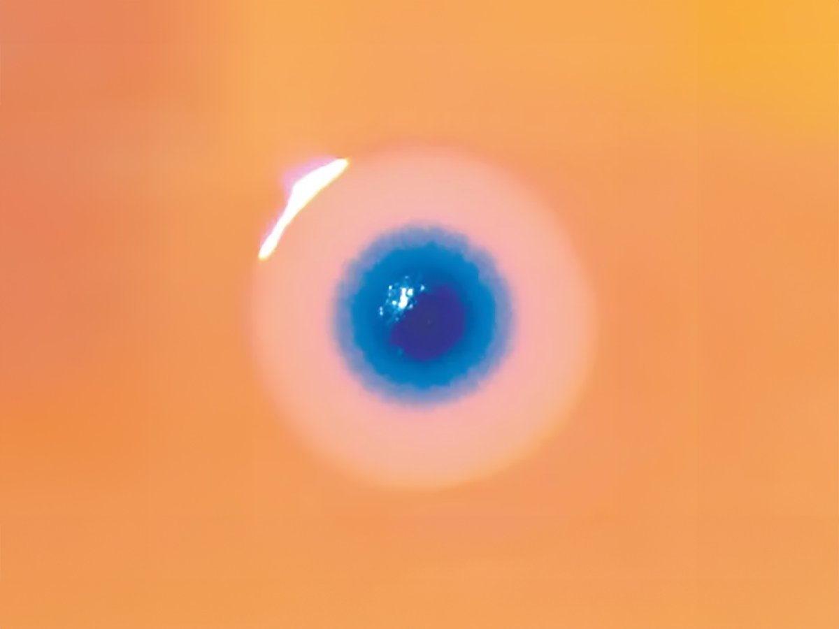 Christian Bok (@christianbok) on Twitter photo 