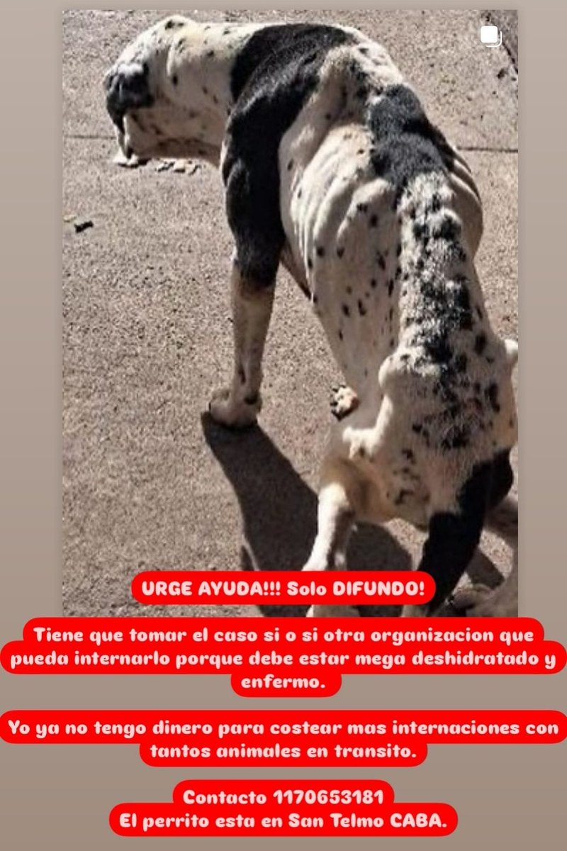 Rt
Urgente 
Ayudemos a este animalito!!