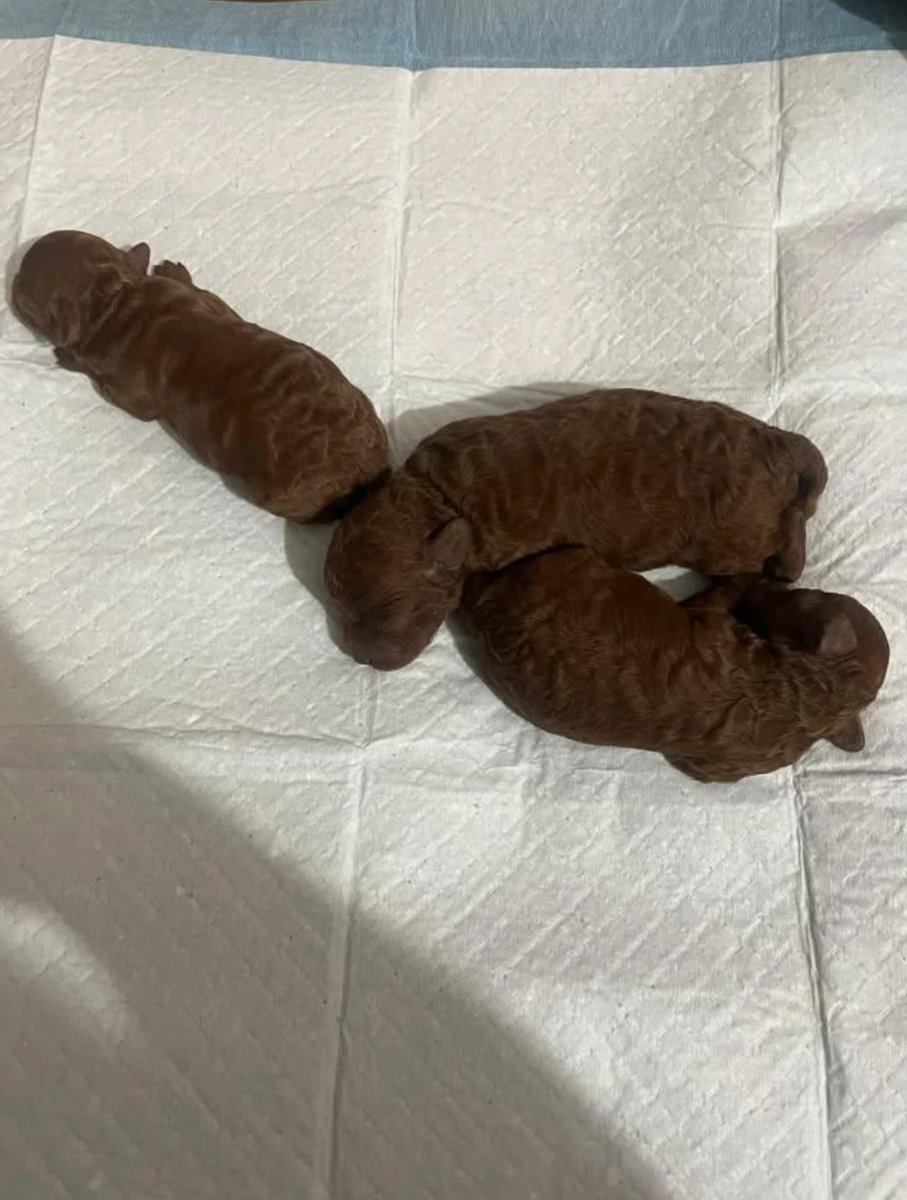 No Context Clips (@nocontextclips_) on Twitter photo 