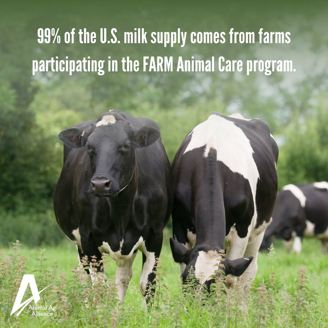 The FARM program brings together experts and stakeholders to institute science-based standards and tools for the dairy community in animal care, antibiotic stewardship, sustainability, and workforce welfare. 🥛 bit.ly/3xcNnHe #DairyMonth