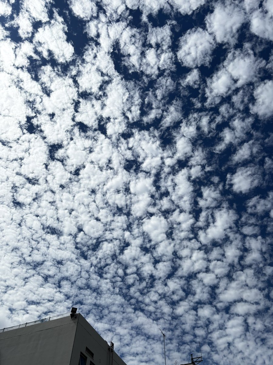 いい雲達☁️☁️☁️☁️