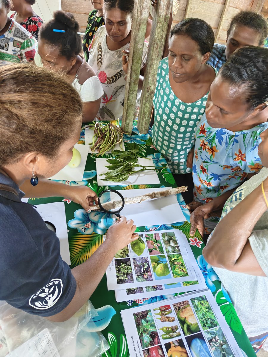 UNDP Pacific Office in Fiji tweet media