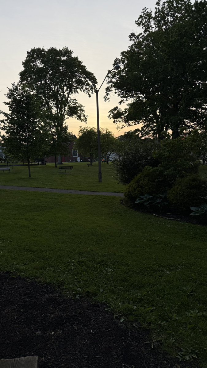 djfazio1's tweet photo. Out for a walk to try and get outta my mind…. https://t.co/5NiPZGR9Vw