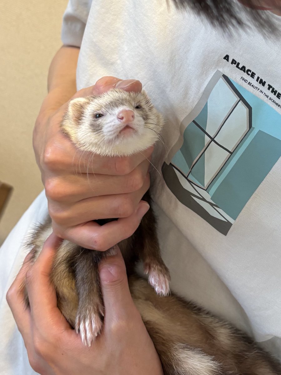 父に抱っこされてご満悦