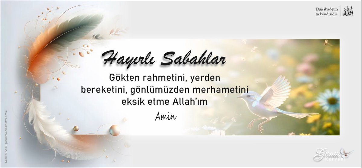 🕊️ Hayırlı Sabahlar 🕊️

Gökten rahmetini, yerden bereketin, gönlümden merhametini eksik etme Allah’ım… amin