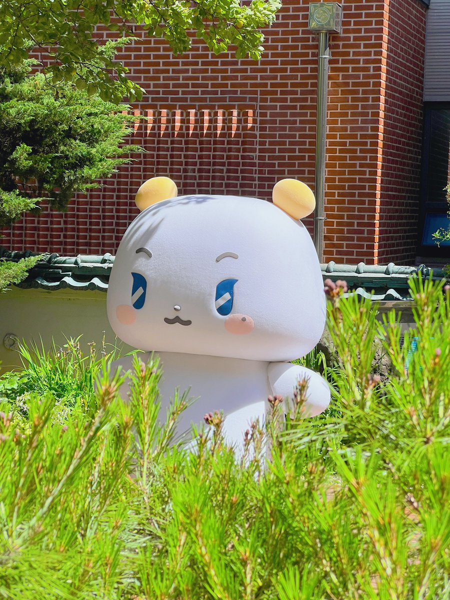 가기전에 다시 나온 뫄 찍었다😆💜💜💜