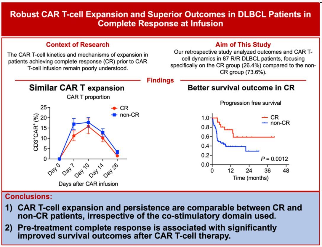 British Journal of Haematology (@brjhaem) on Twitter photo Robust CAR T-cell expansion and superior outcomes in DLBCL patients in complete response at infusion 
buff.ly/6qniqZy Robust CAR T-cell expansion and superior outcomes in DLBCL patients in complete response at infusion 
buff.ly/6qniqZy