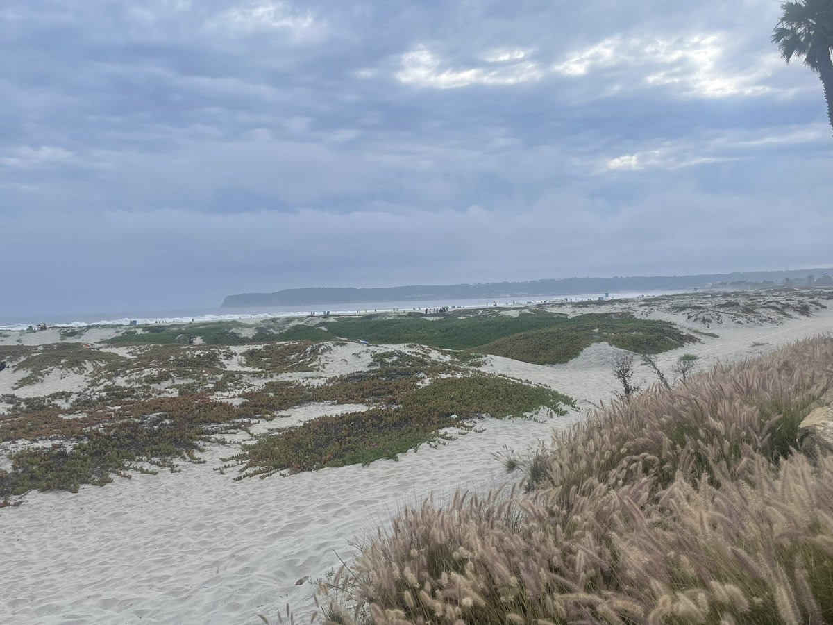 CourtneyPoole00's tweet photo. Over the years, I have so many photos of this place, one I love sand dunes, and this was on my journal entry list if I ever get engaged or married in the future. 🌊🌷 https://t.co/syXyAInJmq