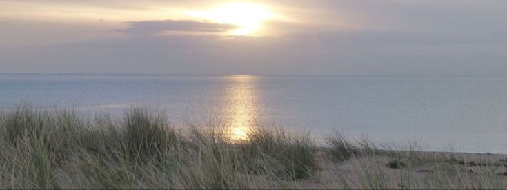 الصباح ليس زمنًا، هو وعيٌ هادئ بأنك لست أسير البارحة، وأن فيك متسعًا لبداية لا تشبه أحد سواك
✨🌸