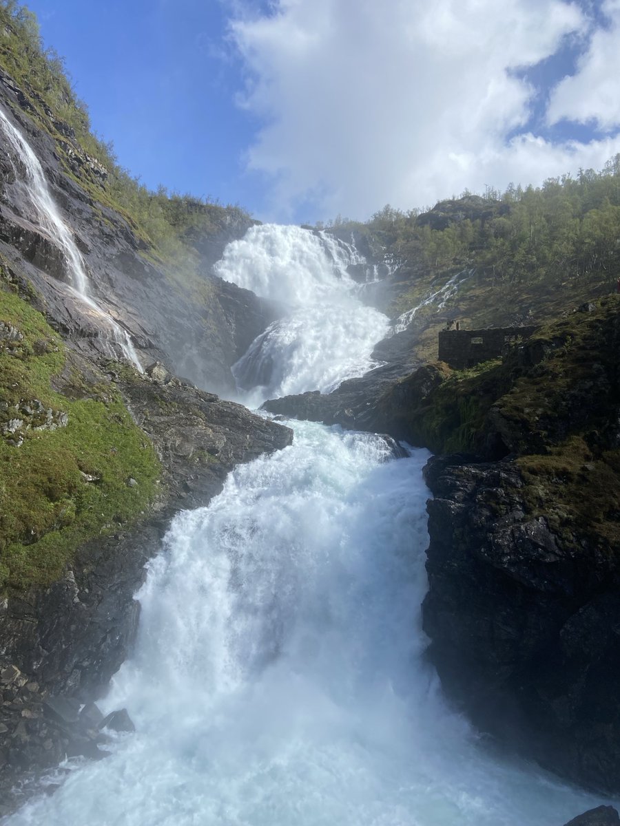 Mark Rowe tweet media